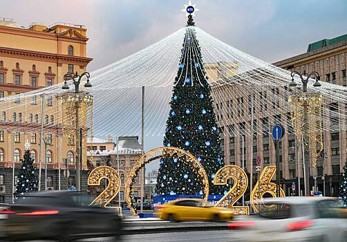 Москвичам рассказали о погоде в Новый год