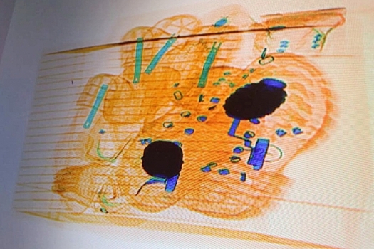 В багаже в аэропорту «Пулково» нашли гранаты