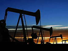 В ОПЕК проигнорировали призыв Трампа снизить цены на нефть