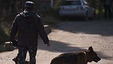 В пригороде Бишкека застрелили брата экс-генпрокурора Киргизии