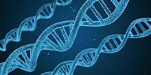 Ученые обнаружили полезную генетическую мутацию