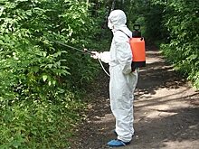 Территорию усадьбы Алтуфьево обработали средством от клещей