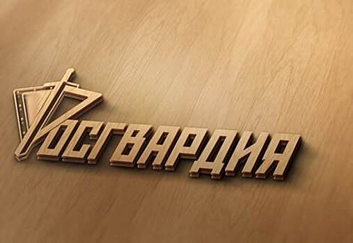 В Воскресенске задержан протаранивший ворота забора нетрезвый водитель