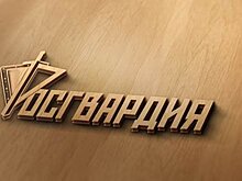 В Воскресенске задержан протаранивший ворота забора нетрезвый водитель