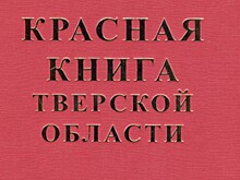 Более 500 работ прислали на конкурс рисунка "Красная книга Тверской области глазами детей. Сохраним исчезающие виды"
