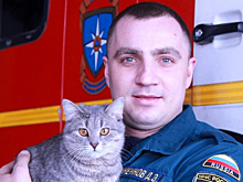 Курские пожарные приютили найденного возле пожара котенка