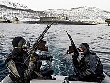 В НАТО попытались свалить обострение вокруг Гренландии на Россию