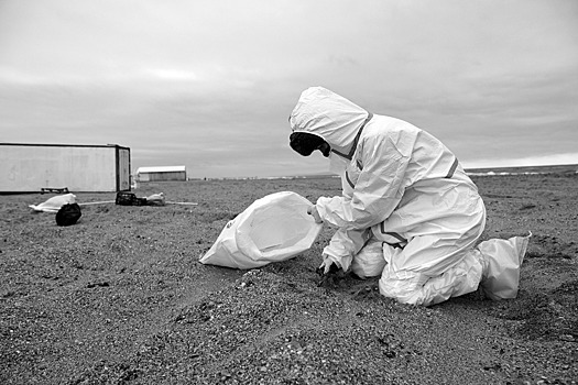 Сила единства. Как волонтеры из Осетии помогали в Анапе