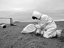 Сила единства. Как волонтеры из Осетии помогали в Анапе