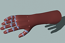 Пермские ученые разработали протез руки на основе композитных мышц