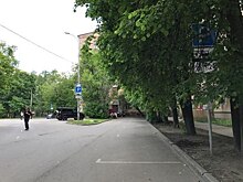 На трех улицах района Аэропорт спилили ветки, загораживавшие дорожные знаки