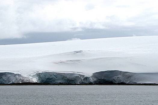Выбросы газа в Антарктиде напугали ученых