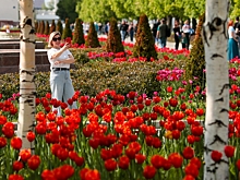 Москвичам спрогнозировали вспышку летнего тепла перед похолоданием