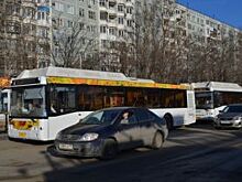 В Волгограде автобусу №44 увеличат количество дневных рейсов