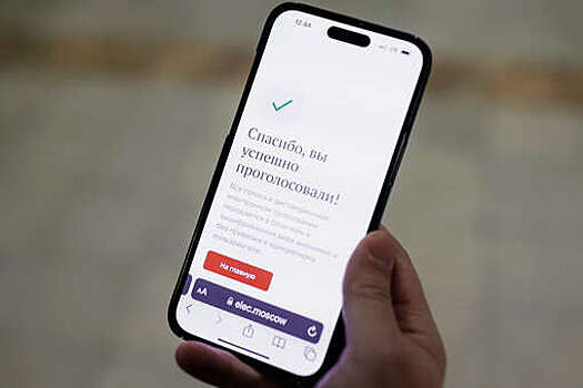 Общественная палата: Москва полностью готова к голосованию жителей из регионов
