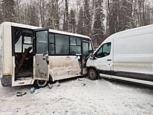 В Удмуртии начали доследственную проверку по факту ДТП с микроавтобусом в Завьяловском районе