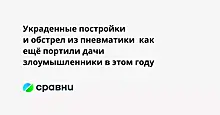 Украденные постройки и обстрел из пневматики  как ещё портили дачи злоумышленники в этом году