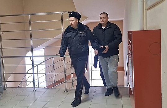 Незаконной рубке леса на 12 млн рублей покровительствовал экс-сотрудник ДПС Искитимского района