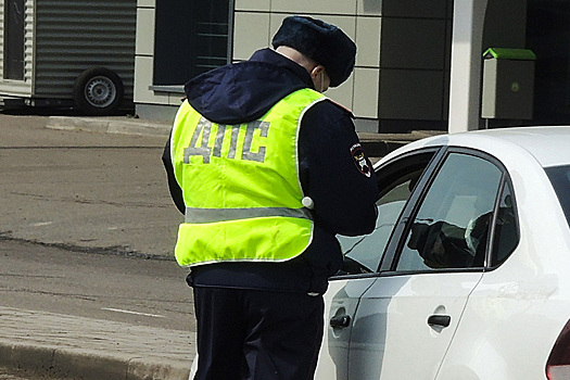 Любителя попить бобровую струю поймали за рулем нетрезвым
