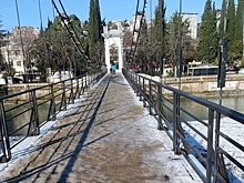 В период непогоды в Сочи упали 430 деревьев