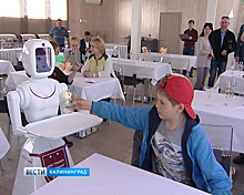 Посетители кафе в Талпаках довольны обслуживанием робота-официанта Ксюши