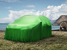 Skoda назвала внедорожник в честь «интеллигентных медведей»