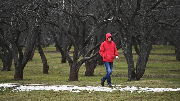 Январская погода в Москве стала рекордной за 140 лет