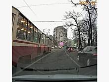 Лиса прокатилась на трамвае в Петербурге и попала на видео