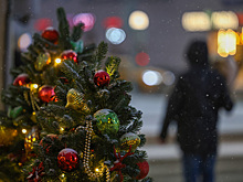 Оценена вероятность снежного и морозного Нового года в Москве