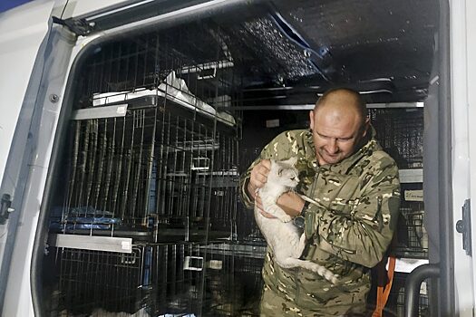 Найти верного друга