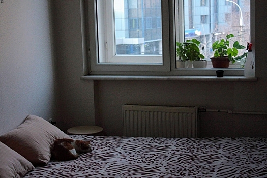 Сомнолог из Волгограда рассказала, как избежать последствий недосыпа