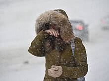 «Облачно и снежно»: москвичам рассказали о погоде на выходные