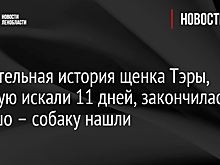 Трогательная история щенка Тэры, которую искали 11 дней, закончилась хорошо – собаку нашли