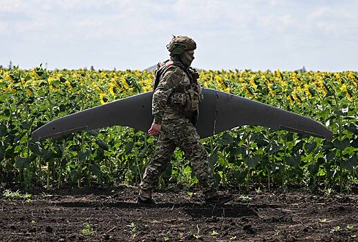 В зону СВО поставили более 20 тысяч российских «Черник»