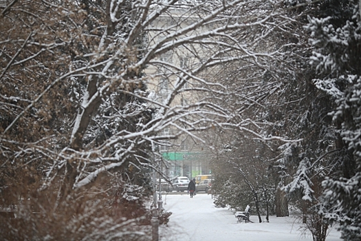 Волгоградскую область на этой неделе ждут снег и морозы до -11 градусов