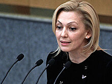 Вице-спикер Госдумы назвала причину упразднения Минкавказа
