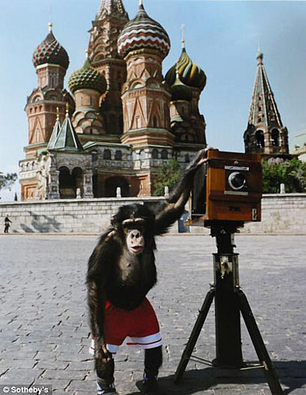 Фотографии Микки — циркового шимпанзе, которого Виталий Комар и Александр Меламид учили делать фотографии на Красной площади. 