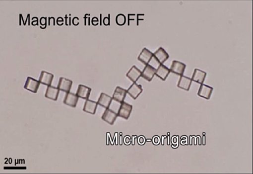 Создан микробот-оригами для перевозки отдельных клеток