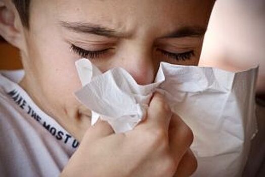 Эпидемия гриппа придет в Красноярск уже в январе