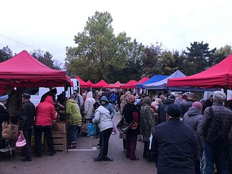 В Крыму запланировано более 400 Предновогодних сельскохозяйственных ярмарок