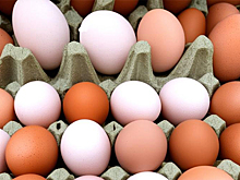 На прилавках российских магазинов появятся иностранные яйца