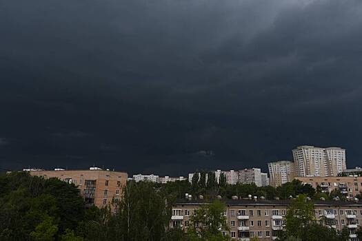 Синоптик рассказал, из-за чего возник «торнадо» над Санкт-Петербургом