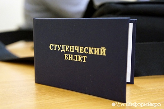 Абитуриенты из многодетных семей могут получить фору при поступлении