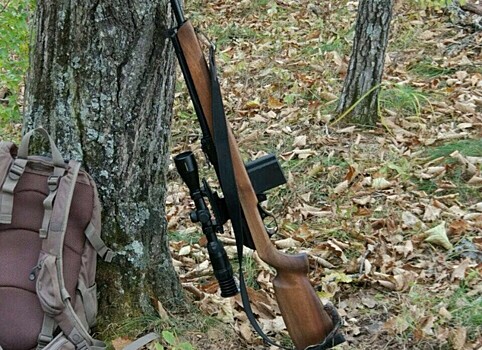 Правила распределения разрешений на охоту изменили в Приморье