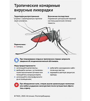 Нижегородцам рассказали о профилактике при укусе комаров