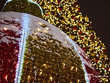 Нижегородские елки борются за звание лучших в стране