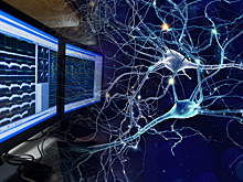 Разработана клеточная платформа для изучения нейродегенеративных болезней