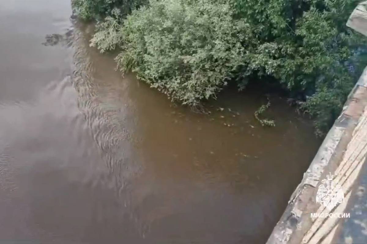 Семилетнего мальчика затянуло под шлюзы на российской реке
