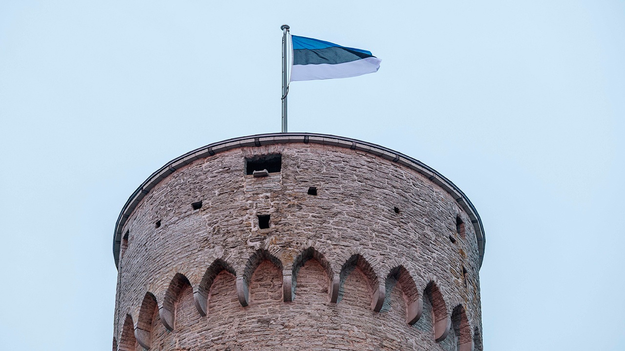 На севере Эстонии нашли обломки предположительно украинского беспилотника