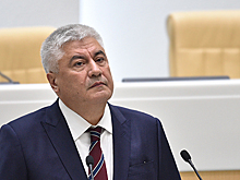 Глава МВД заявил о резком росте числа киберпреступлений